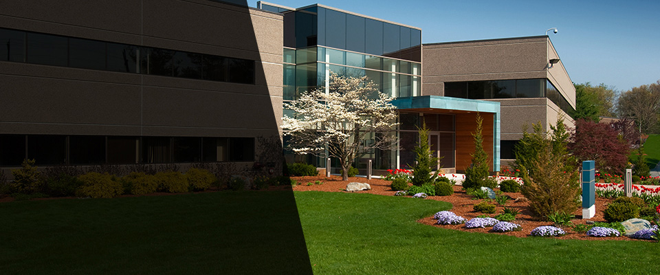 Hugo Landscapers
