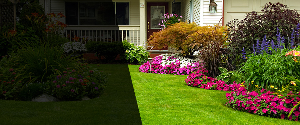 Hugo Landscapers