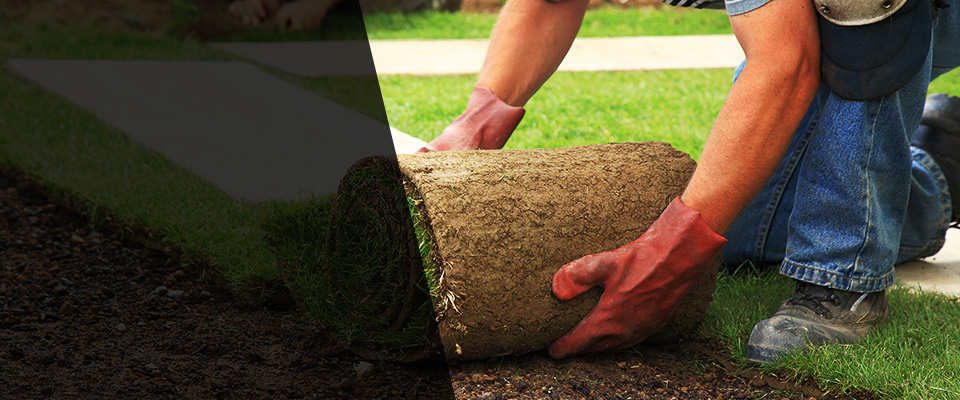 Hugo Landscapers